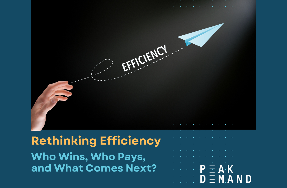 Rethinking Efficiency: Who Wins, Who Pays, and What Comes Next?